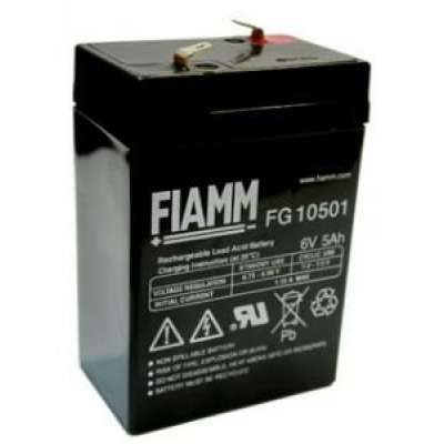 Аккумуляторная батарея Fiamm FG10501