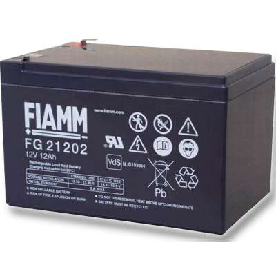 Аккумуляторная батарея Fiamm FG21202