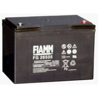 Аккумуляторная батарея Fiamm FG26505